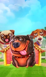 The Dog House