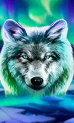 Wolf Fang - Northern Spirits